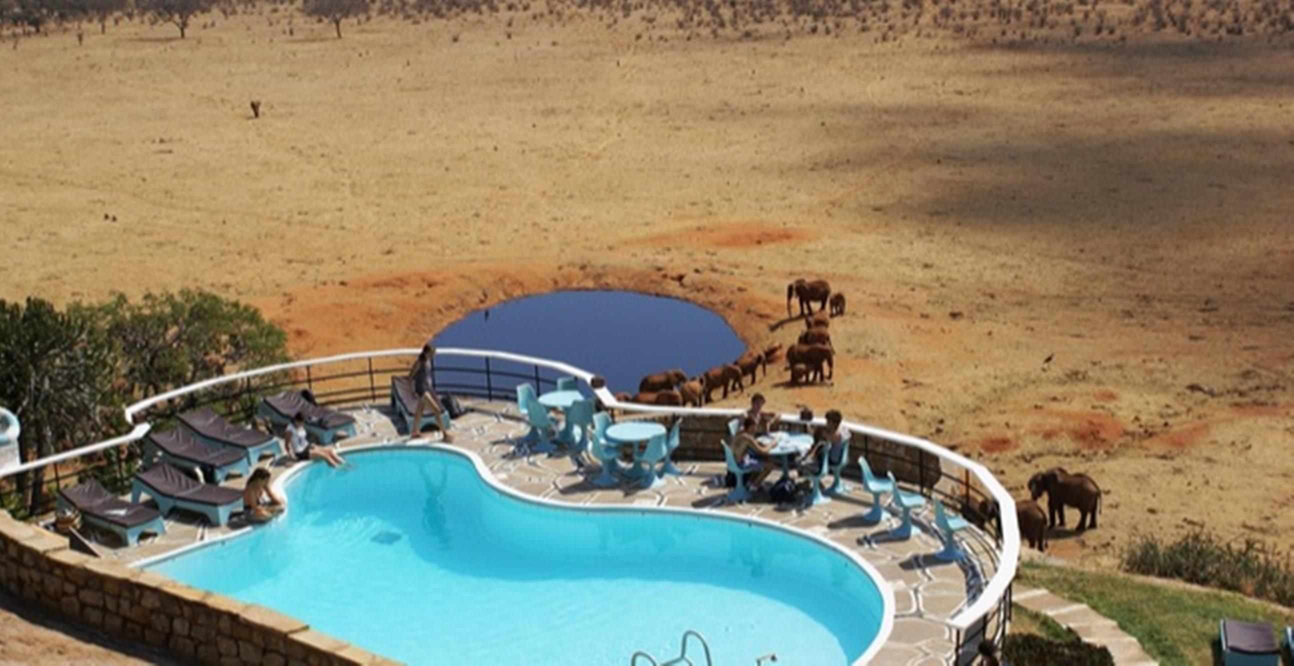 Voi Safari Lodge Extérieur photo